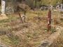 Tiszaborkt polgri temetjben magyar katonasrok